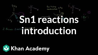 Sn1 reactions introduction [upl. by Eiblehs397]