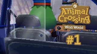 Animal Crossing Wild World 1  Getting Started [upl. by Endys316]