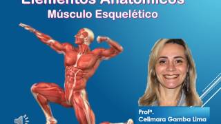 Componentes Anatômicos do musculo esqueletico [upl. by Brad]