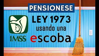 Como recuperar Vigencia para Pensión IMSS Ley 1973 usando una ESCOBA [upl. by Anyalram]