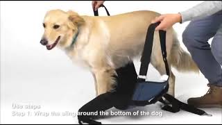 Mochila Transportadora para Perros Mayores XXL [upl. by Gibe]