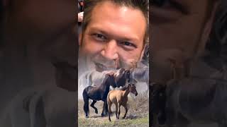 Blake Shelton  Gods Country  countrymusic [upl. by Meesak763]