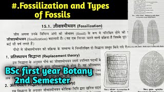 What is Fossilization  Types of Fossil in hindi  BSc first year Botany Second Semester [upl. by Adiraf]