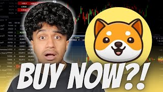 BABY DOGE COIN ELON MUSK ANNOUNCEMENT SOON BABYDOGECOIN STARLINK COLLAB CONFIRMED [upl. by Delanty]