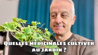 Que planter au jardin  Choix des plantes médicinales [upl. by Annadal907]