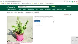 Free Plants  How to get a Free Jade Plant on nurserylivecom  nurserylive [upl. by Walton]