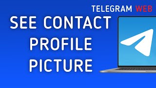 How To See Contact Profile Picture On Telegram Web On PC New Update [upl. by Edme]