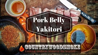 Pork Belly Yakitori 焼き鳥  Cooked on A Konro Grill [upl. by Anina]