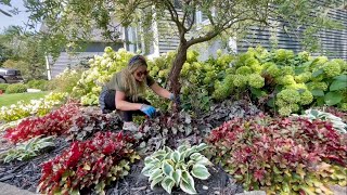 Planting Coneflower amp Trimming Hosta amp Heuchera Garden Hangout A Solar Fountain From Michelle [upl. by Azarria]