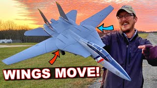 BRAND NEW EFlite F14 Tomcat Twin 40mm EDF RC Jet [upl. by Christina]