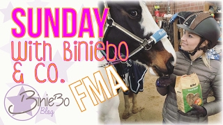 Ein Sonntag mit BinieBo und Co  fma [upl. by Evreh]