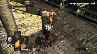 Dark Souls  Knight Lautrec of Carim Location amp Tips HD Commentary [upl. by Firehs101]