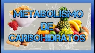 Metabolismo de carbohidratos BIOQUÍMICA [upl. by Hardin479]