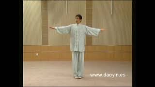 ¿HAS VISTO LA FORMA PRELIMINAR DAOYIN QIGONG MAWANGDUI [upl. by Krebs]