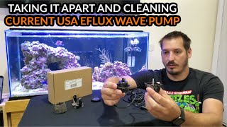 EASY How To Take Apart and Clean  Current USA eFlux Wave Pump How To and Review [upl. by Aitropal]