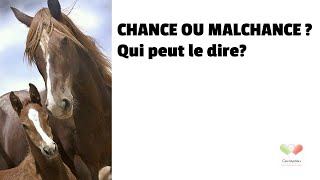 Métaphore Chance ou malchance  Qui peut le dire [upl. by Narad]