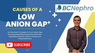 What Causes A Low Anion Gap BCNephro [upl. by Lenoel]