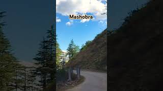 Mashobra  Natureloveforestroad viralshort [upl. by Lesoj]