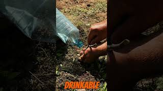 quotSurvival at Its Best Turning Dirty Water into Drinkable Lifequot [upl. by Mckale]