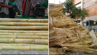 Sugarcane Bagasse Treatment  Innovative Design [upl. by Novaat]