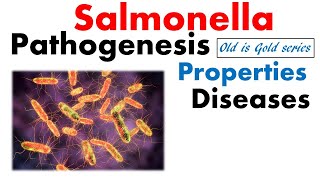 Salmonella typhi microbiology  pathogenesis infection disease treatment [upl. by Cyndi184]