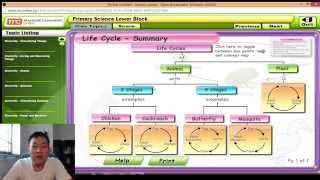 P3 Science  Life Cycles of plants and Animals Revision [upl. by Pauly]