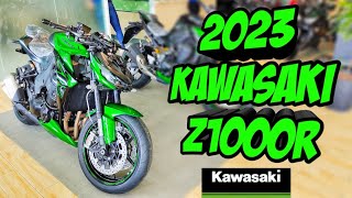 2023 Kawasaki Z1000 R The Beast Lady Rider Review Walkthrough amp Price [upl. by Dorcas]