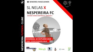 SL Nelas  Nespereira FC [upl. by Noirb855]