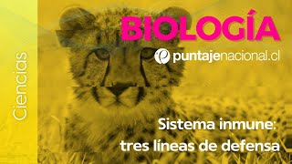 PAES  Biología  Sistema inmune tres líneas de defensa [upl. by Ardnuasak198]