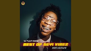 Best Of Seyi Vibez 2024 Vol 2 Mixtape [upl. by Nnaeirb258]