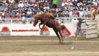 Jineteos de yegua  Semifinales del Nacional Charro Nayarit 2013 [upl. by Allsun]