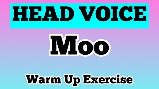 Moo on a 5th for Head Voice  Vocal Warm Up Exercise [upl. by Tedi264]