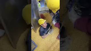 Grain Bin Rescue Drill  Independence Iowa Fire Department [upl. by Selhorst]