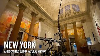 American Museum of Natural History Inside Walking Tour  New York USA [upl. by Llejk92]