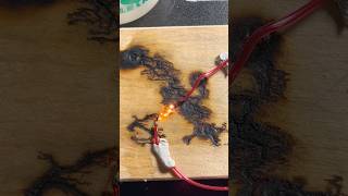 Lichtenberg wood burning fractal’s with a high voltage module shorts [upl. by Dosi]