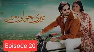 Salar Ne Nasiba Ko Goli Mar Di  Teri Chhaon Mein Episode 20 Review  Danish Taimoor [upl. by Suehtomit]