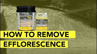 How To Remove Efflorescence From Pavers In 4 Simple Steps [upl. by Anirrok511]