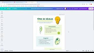 Videotutorial Infografía en Canva [upl. by Seuguh]