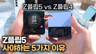 Z플립5 사도 될까 갤럭시 Z플립5 Z폴드5 미리 체험해봤습니다 커버 디스플레이 화면주름 카메라 색상 디자인 [upl. by Eresed]