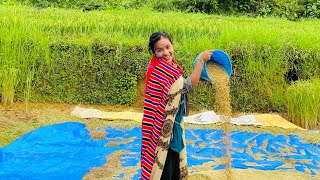 Chaite dhan🌾 katni siyarni suru vaeyo abo ta😍mamatathapa villagevlog subscribe 🙏😎 [upl. by Illac932]