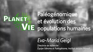 Paléogénomique et évolution des populations humaines [upl. by Maidie]