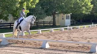 “Dutch Enough” Prix St Georges at Silverwood Dressage [upl. by Ardnosac]