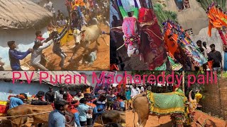 PV PuramMachaReddy Palli Jallikattu 2024 [upl. by Clorinda]