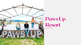 Paws Up Resort [upl. by Fai]