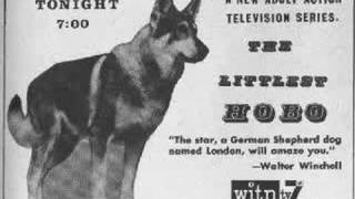 The Littlest Hobo Intro [upl. by Imac]