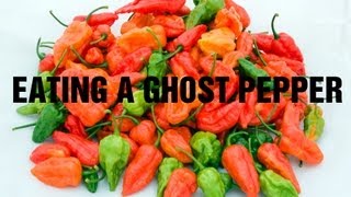 Ghost Pepper Extract [upl. by Haliled]