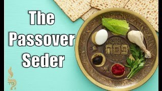 The Passover Seder  Metzora  Aliyah 6 [upl. by Macdougall]