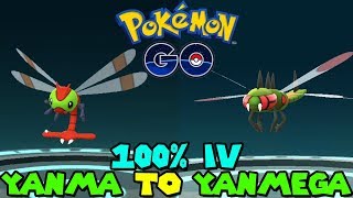 Evolving YANMA TO YANMEGA IN POKEMON GO  NEW SHINNOH STONE EVOLUTION [upl. by Munn]