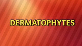 Dermatophytes microbiology [upl. by Kentigerma]