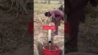 ننکانہ صاحب دا موسم pindpunjabde gurdwara panjabvillage farming [upl. by Varian]